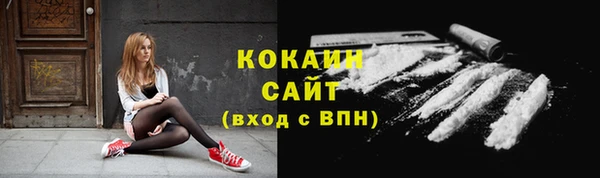 дурь Дмитриев