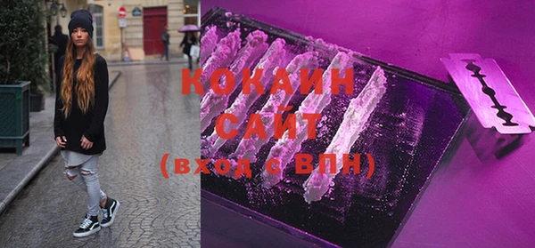 дурь Дмитриев