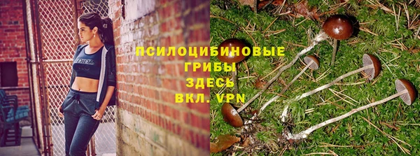 кокаин премиум Дмитровск