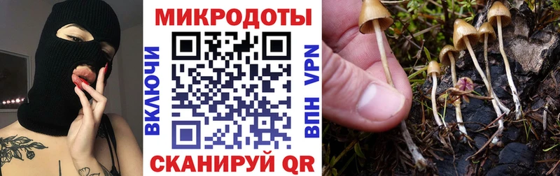 Псилоцибиновые грибы Psilocybe  Купить где  Муравленко 